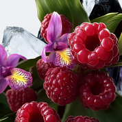 Wonder Woman - Limited Edition, Extrait de Parfum 75 ml