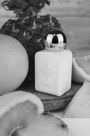 Anelo Extrait