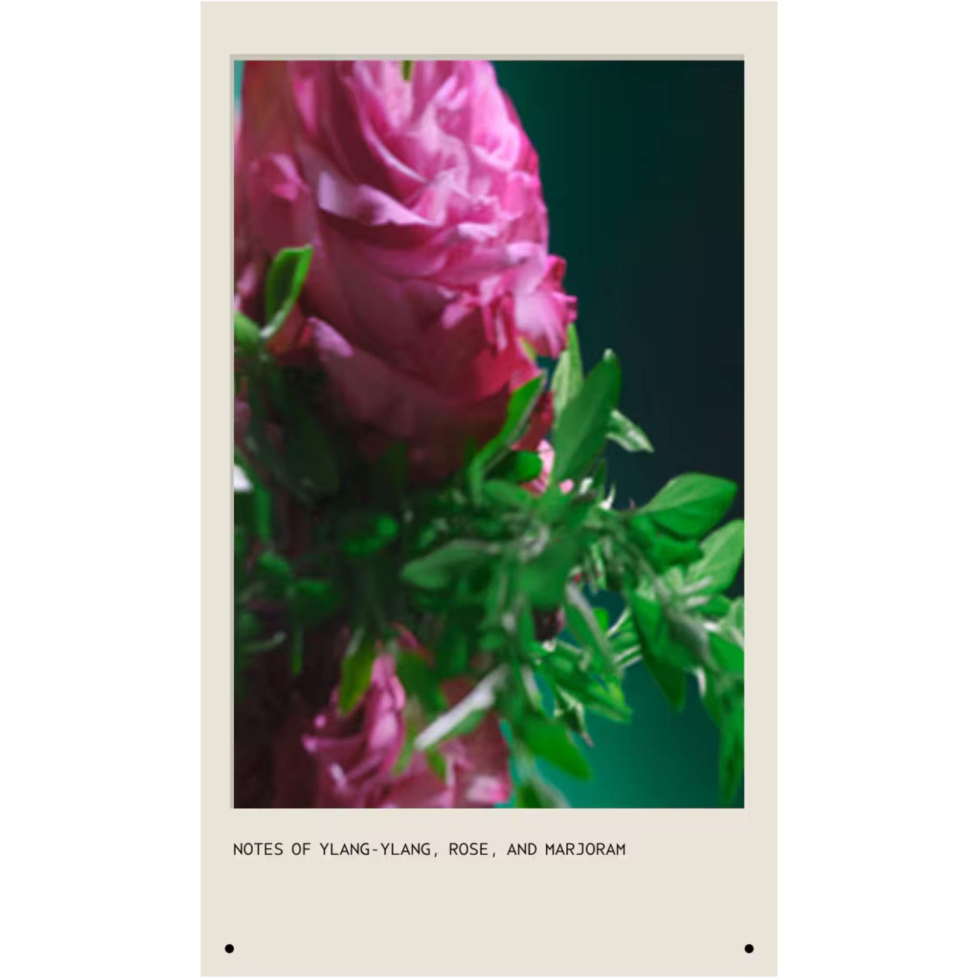 Botanical Repair Strengthening Shampoo 200 ml