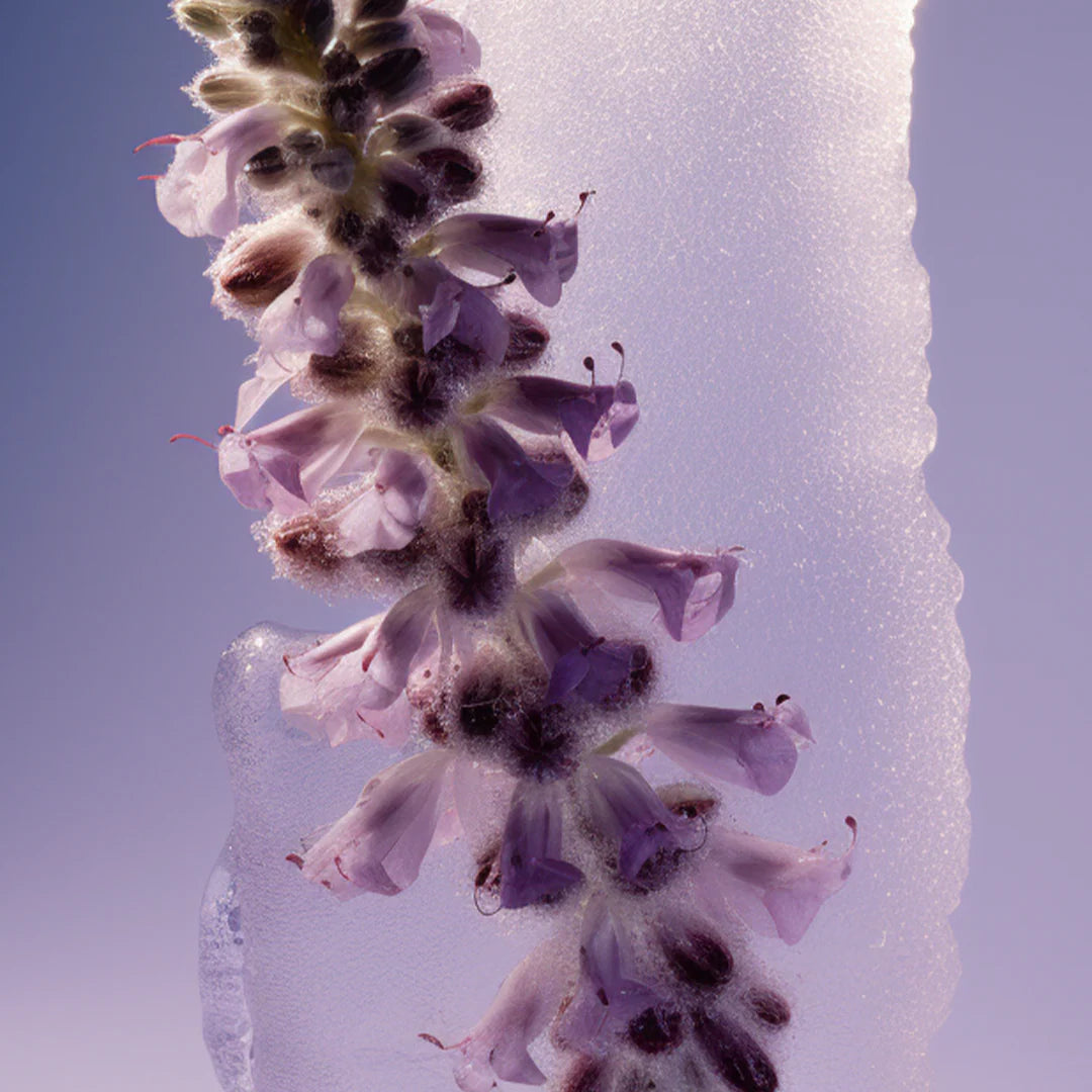 clary-sage-on-rose-quartz6.webp