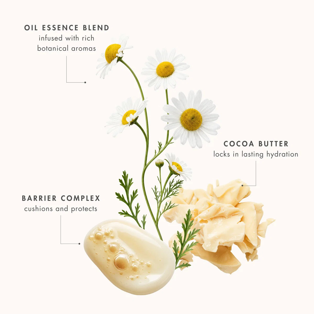 Cleanser & 1/2 Cloth
