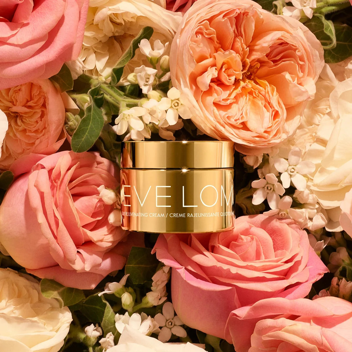 Daily Rejuvenating Cream