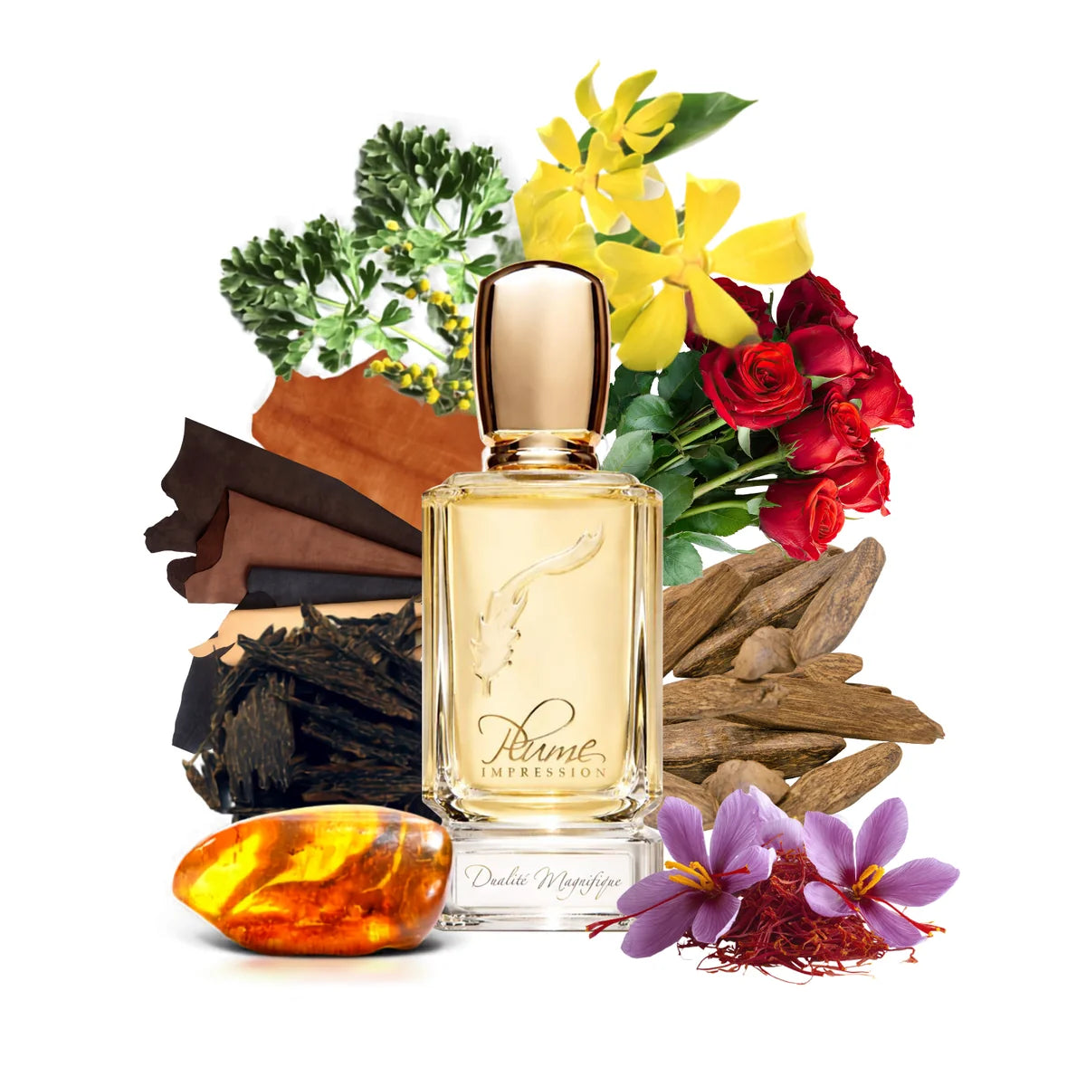 dualite-magnifique3_png.webp
