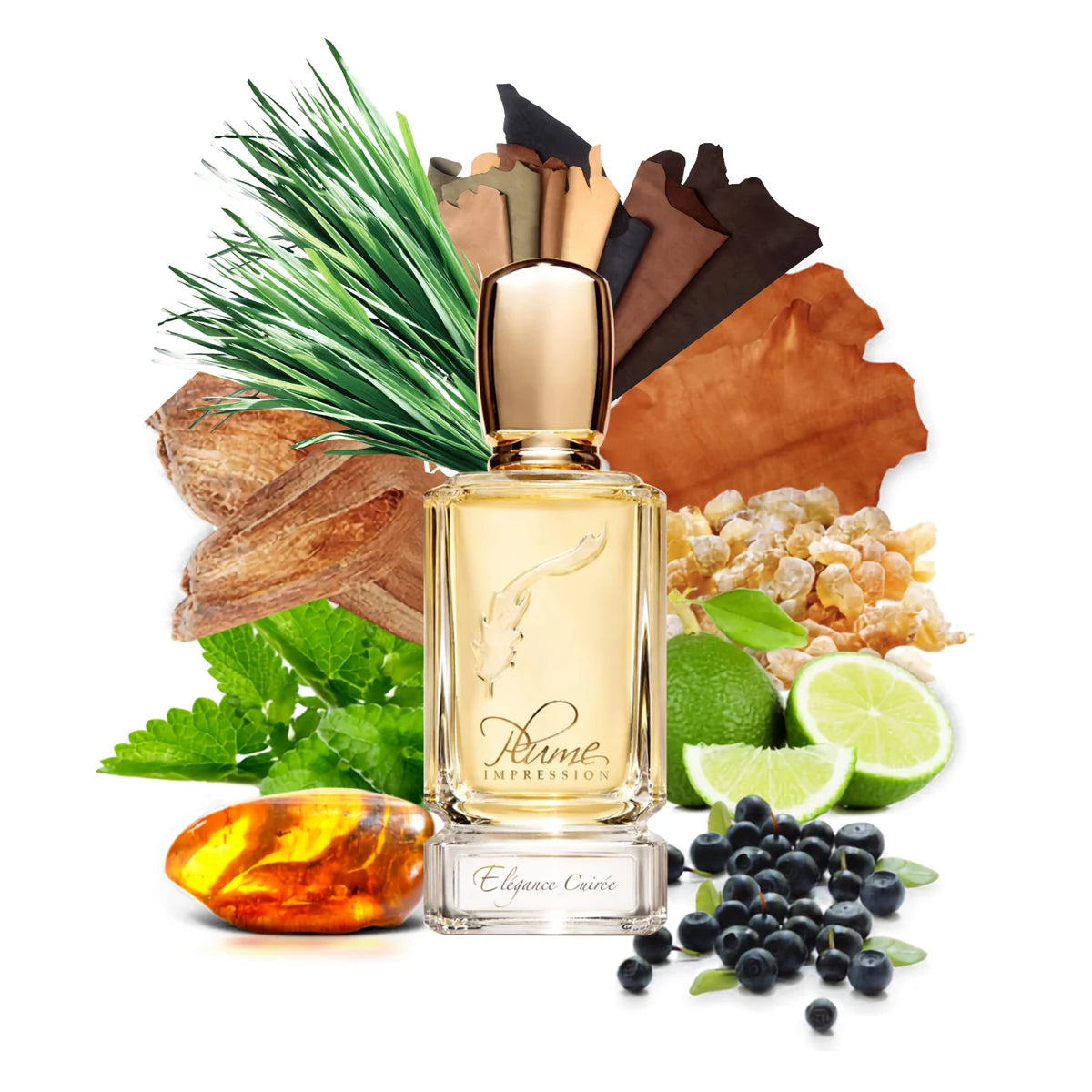 elegance-cuiree3_png.webp