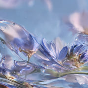 Juniper Rollr Refills х 2