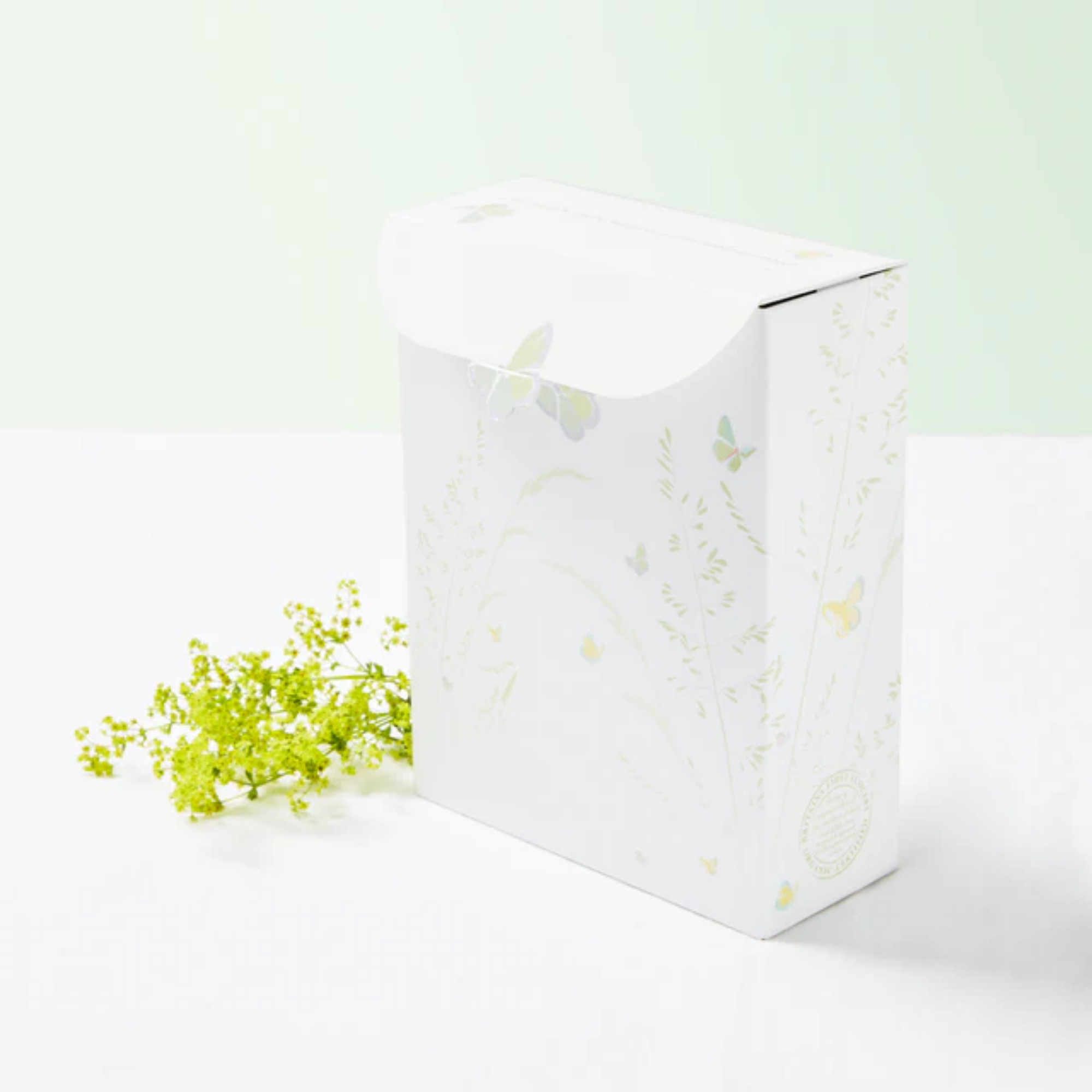 Little One's Bestseller Kit