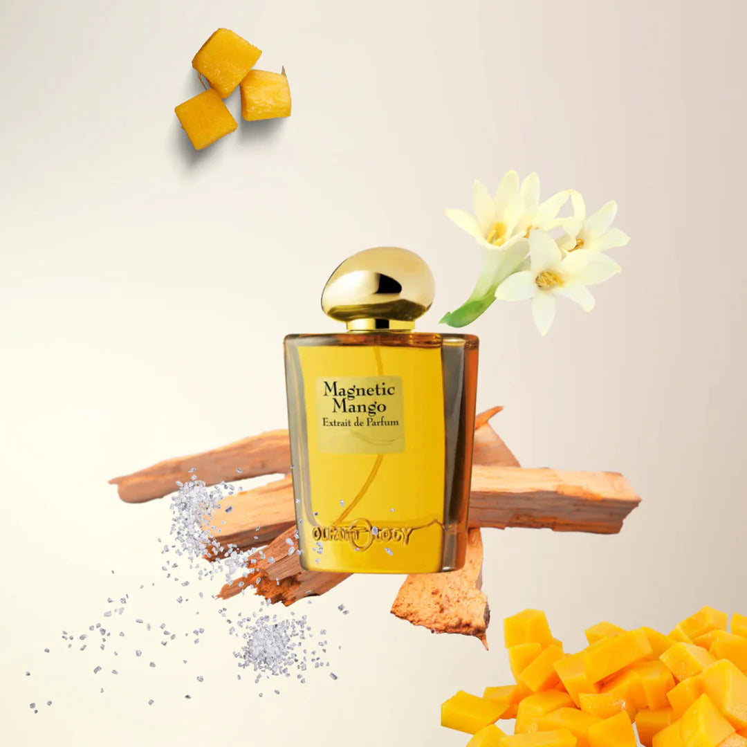 magnetic-mango-extrait2_jpg.webp