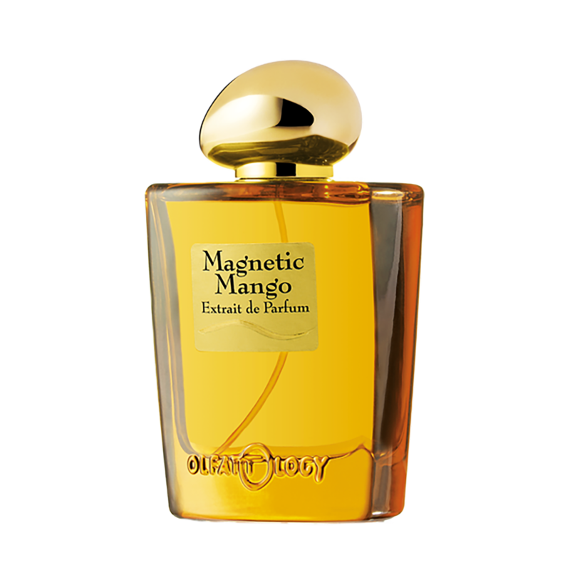 magnetic-mango-extrait4.png