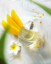 Mango Sticky Rice EDP