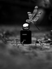 Masar Extrait