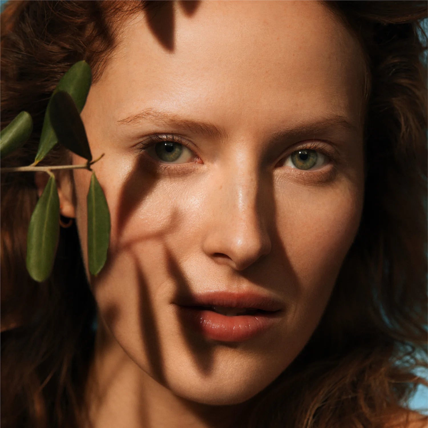 Olive Hydrating Eye Cream