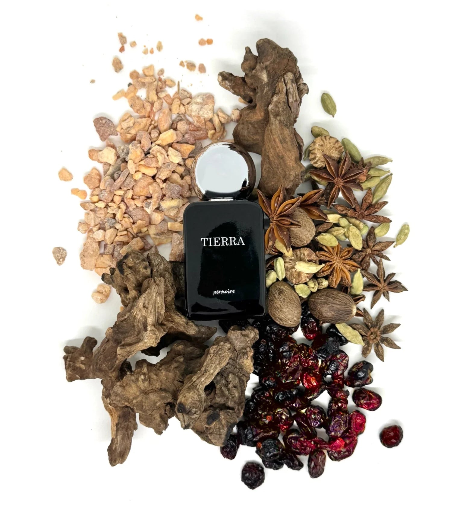 pernoire-tierra-8924120.webp
