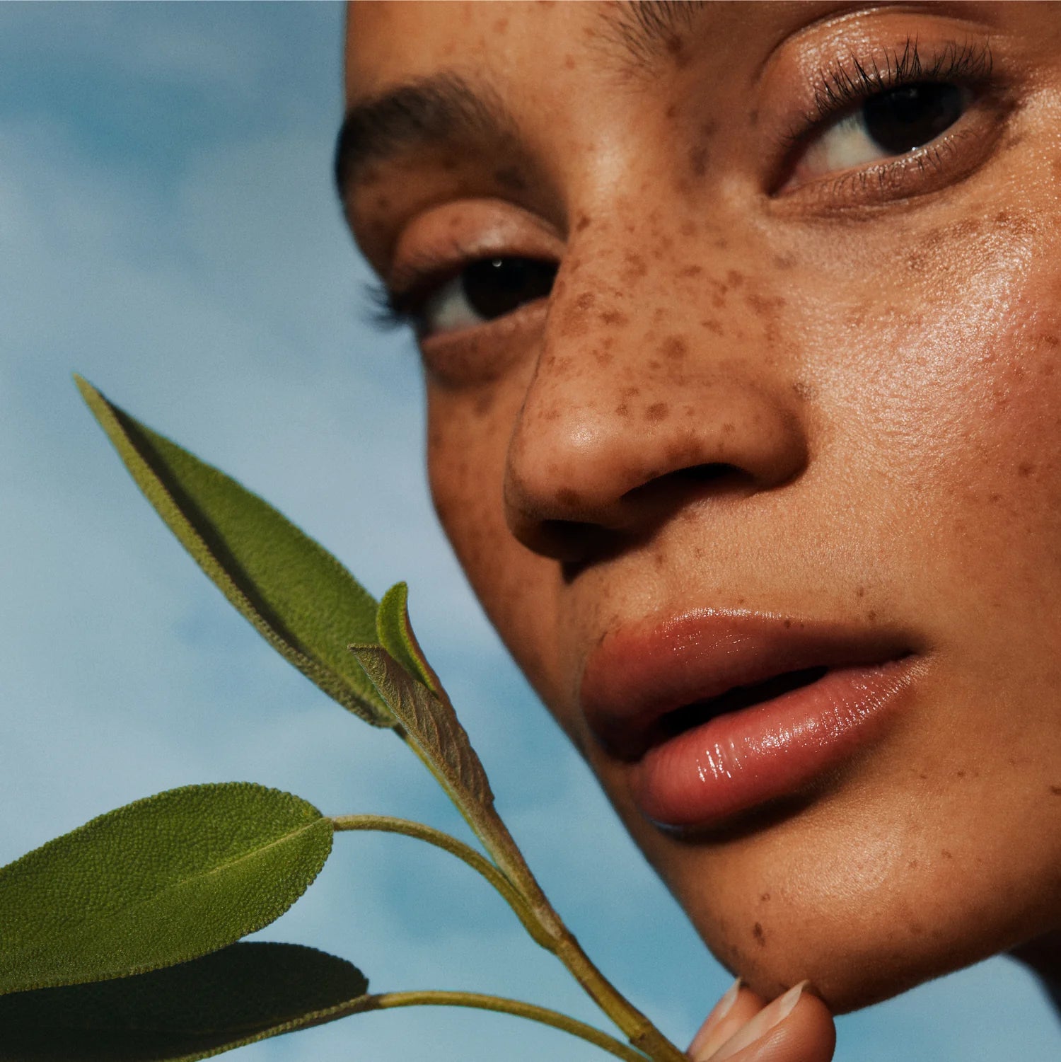 Pistachio Face Oil