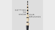 Blender Brush