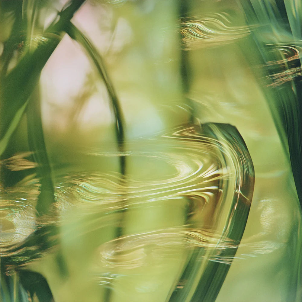 vetiver-on-green-aventurine6.webp